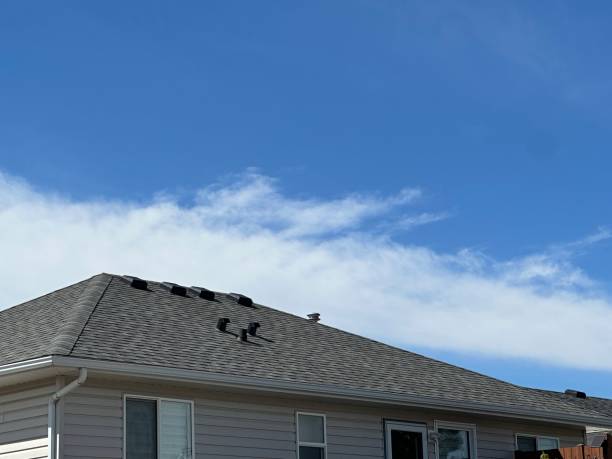 Best Asphalt Shingles Roofing  in North Newton, KS